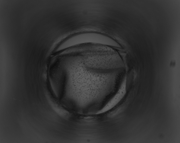 X0000091890064200710031150