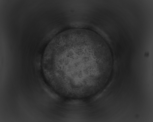 X0000091890065200710031150