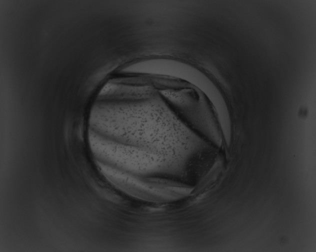 X0000091890068200710031150