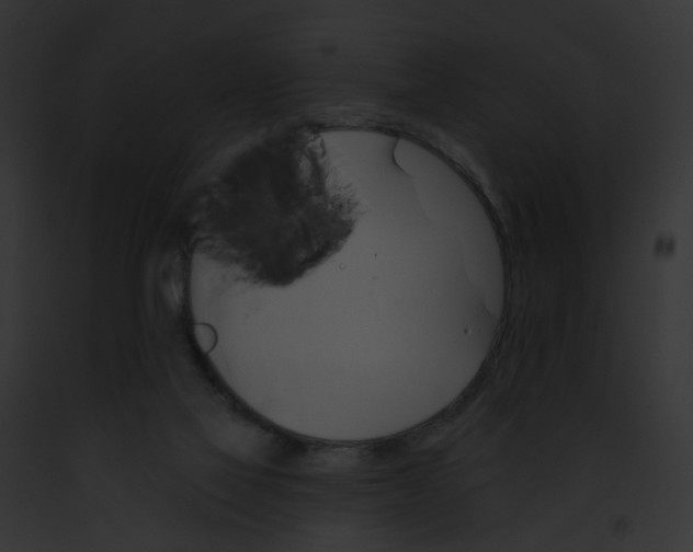 X0000091890069200710031150
