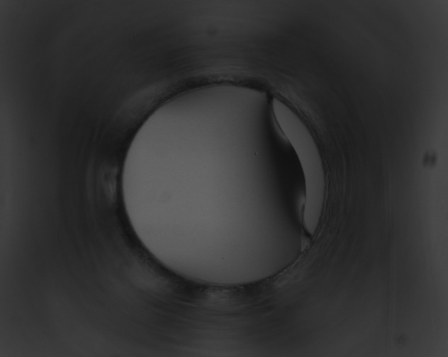 X0000091890070200710031150