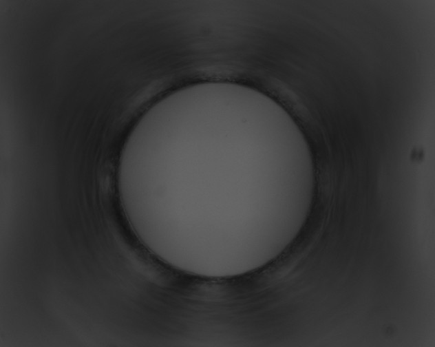 X0000091890071200710031150