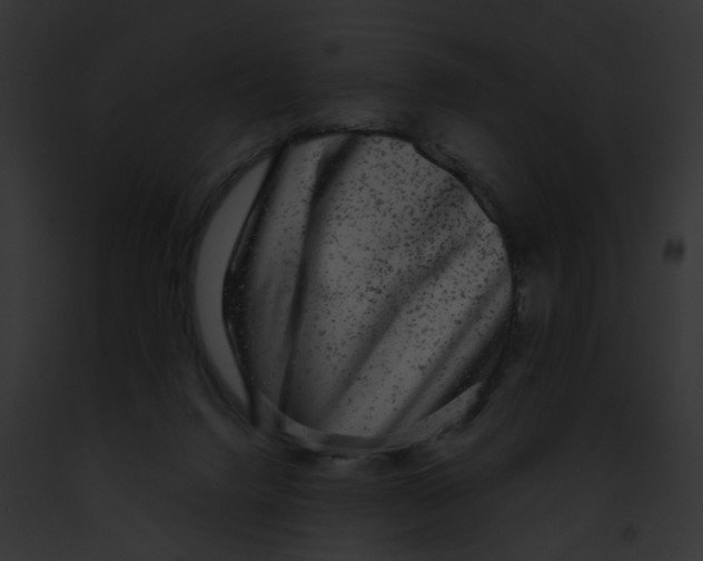X0000091890072200710031150
