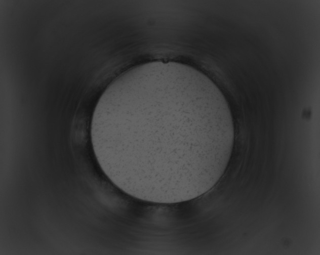 X0000091890074200710031150