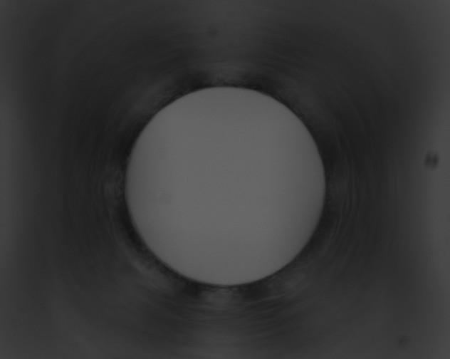 X0000091890079200710031150