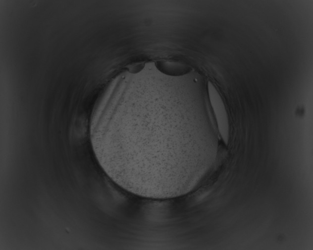 X0000091890081200710031150