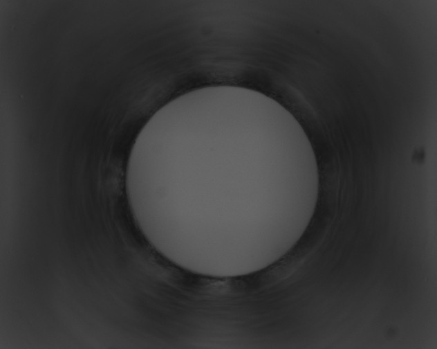 X0000091890083200710031150