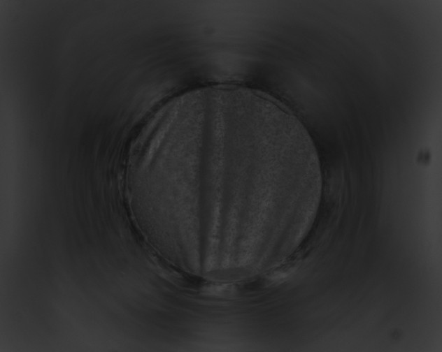 X0000091890084200710031150
