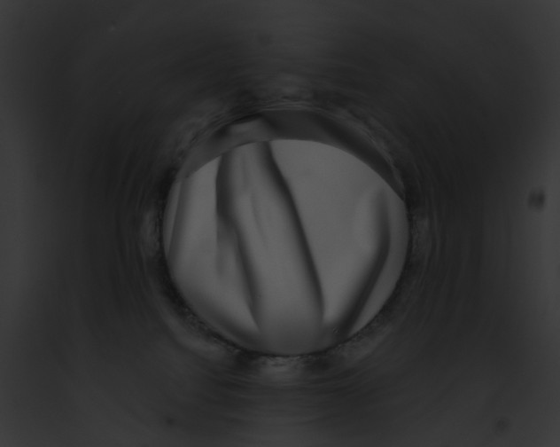 X0000091890088200710031150