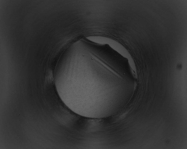 X0000091890089200710031150