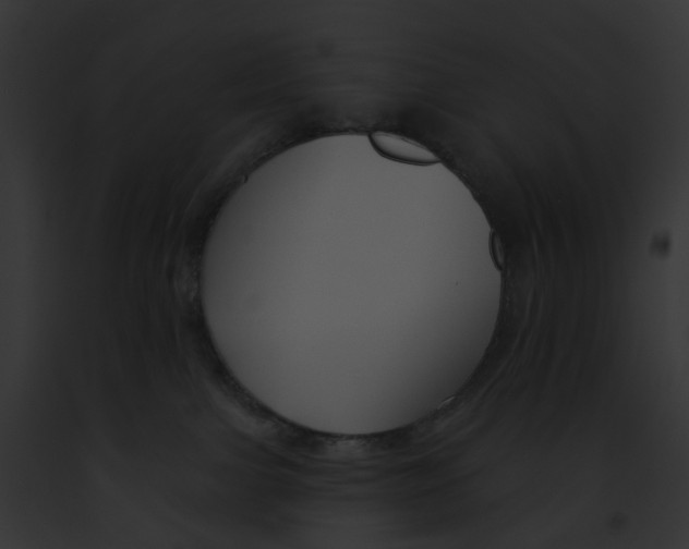 X0000091890091200710031150