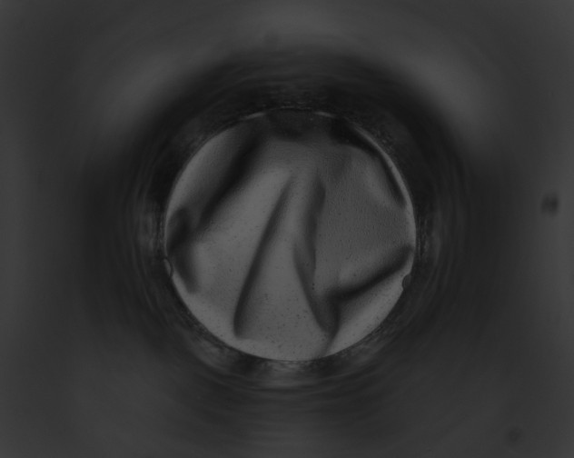 X0000091890093200710031150