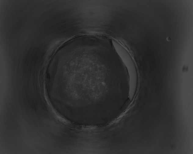 X0000091890097200710031150