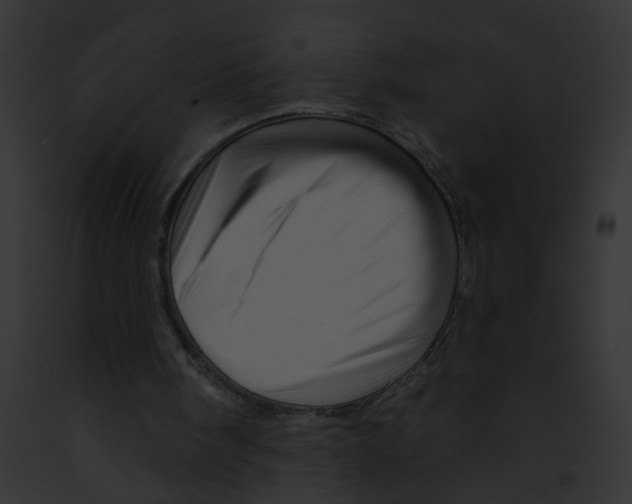 X0000091890098200710031150