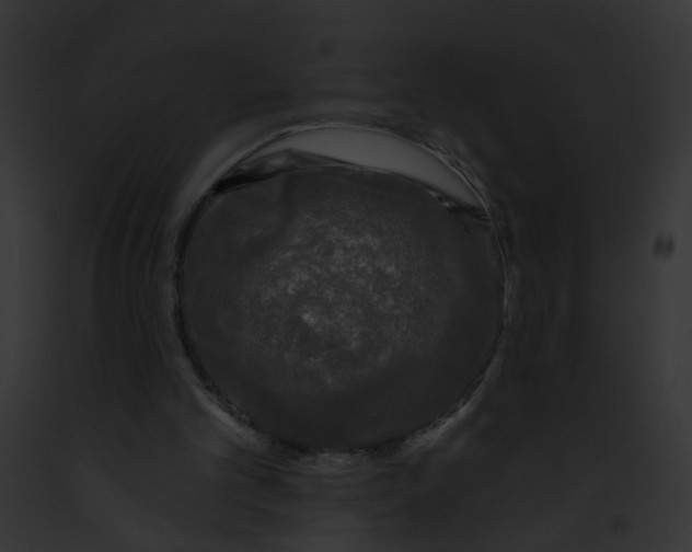 X0000091890101200710031150