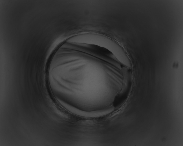 X0000091890102200710031150