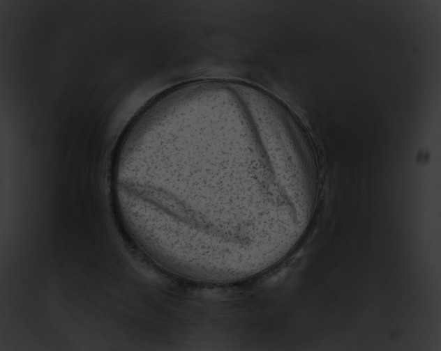 X0000091890103200710031149
