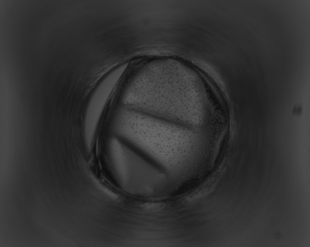 X0000091890105200710031149