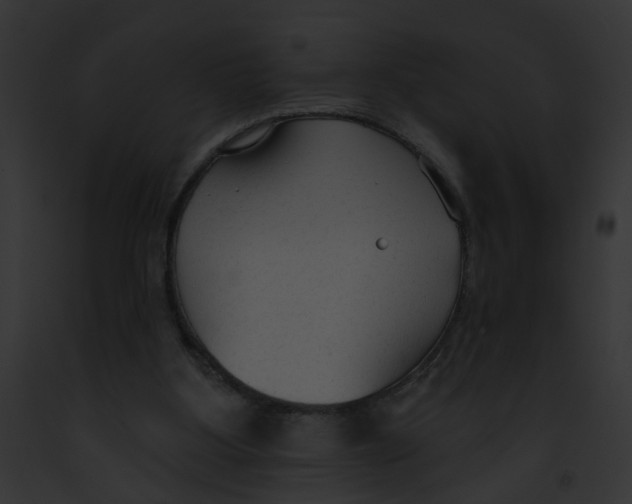 X0000091890107200710031149