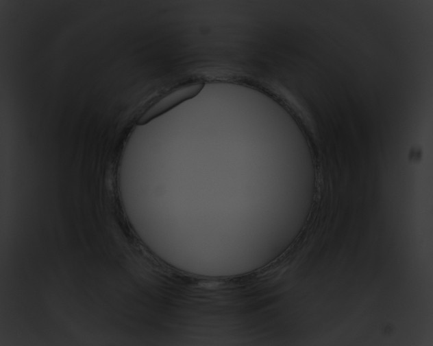 X0000091890117200710031149
