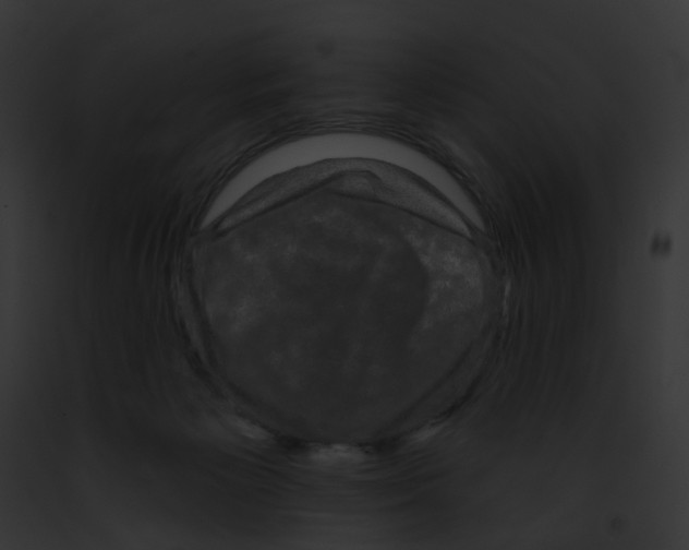 X0000091890125200710031149