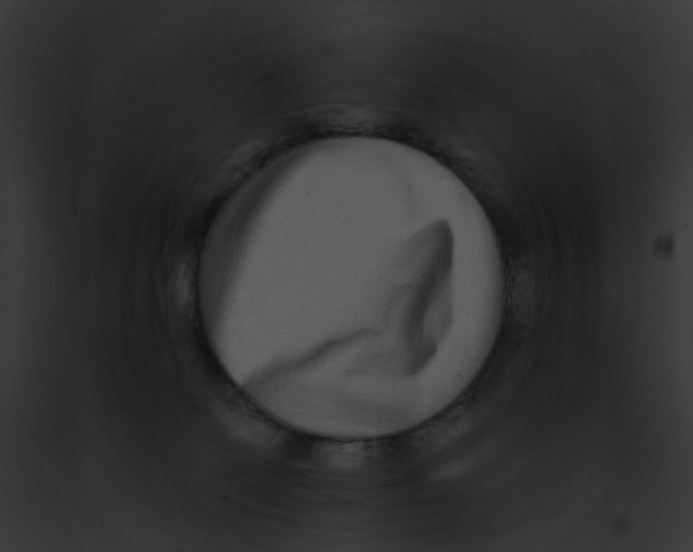 X0000091890131200710031149