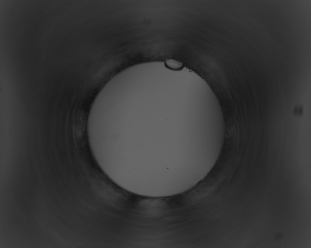 X0000091890133200710031149