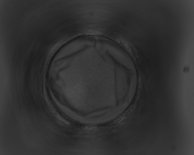 X0000091890145200710031148