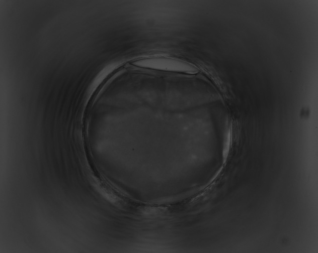 X0000091890147200710031148