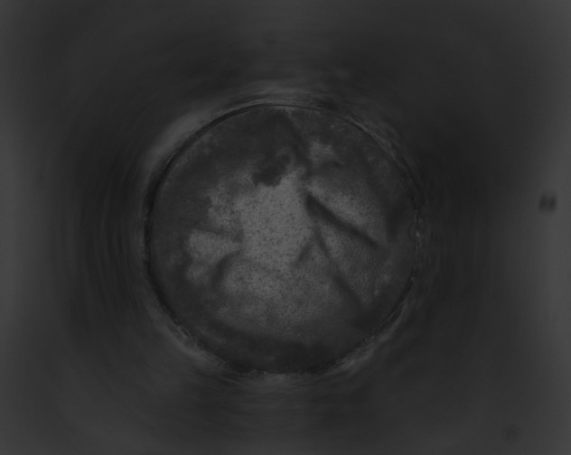 X0000091890149200710031148