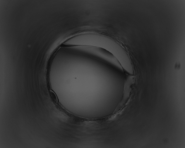 X0000091890150200710031148