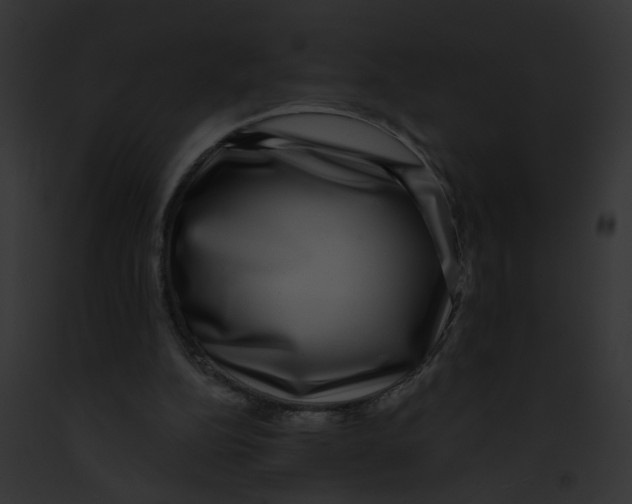 X0000091890152200710031148