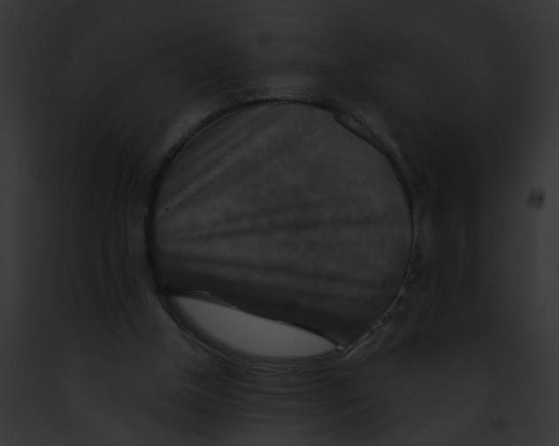 X0000091890154200710031148