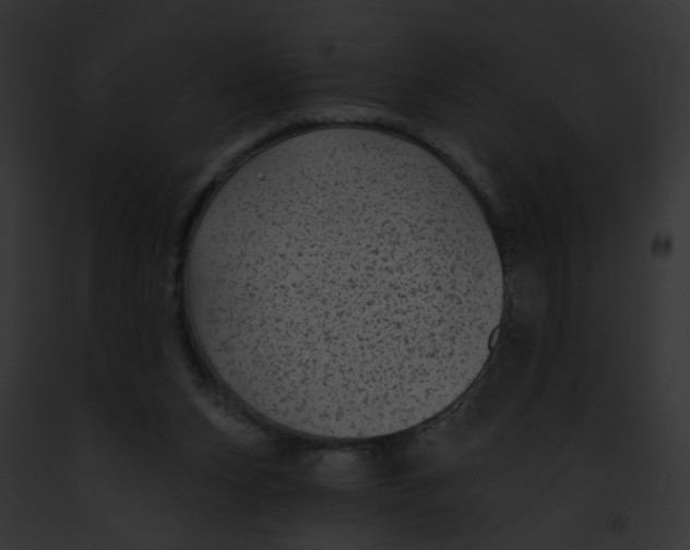 X0000091890159200710031149