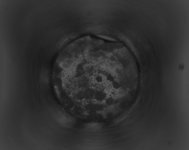 X0000091890161200710031149