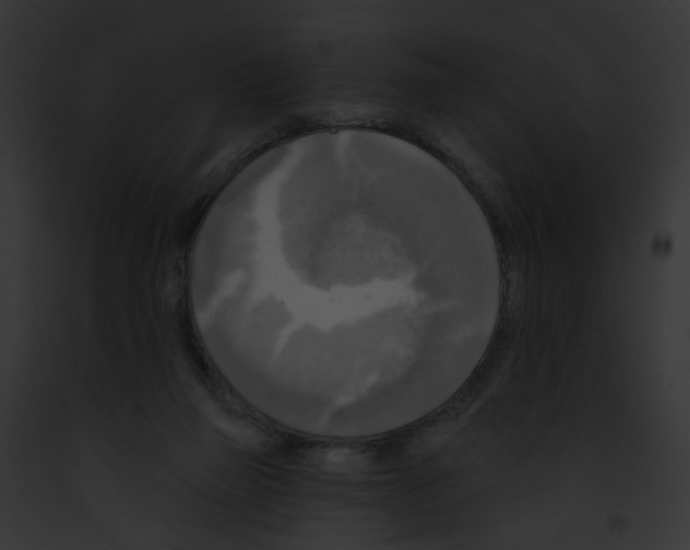 X0000091890165200710031149