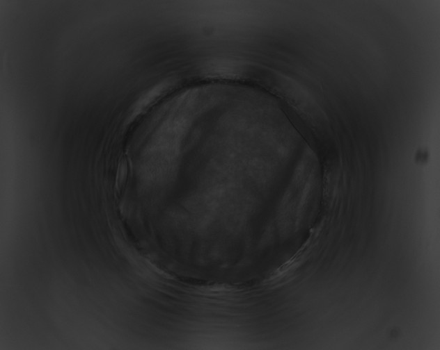 X0000091890168200710031149