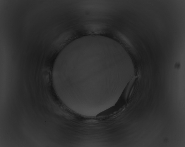 X0000091890169200710031149