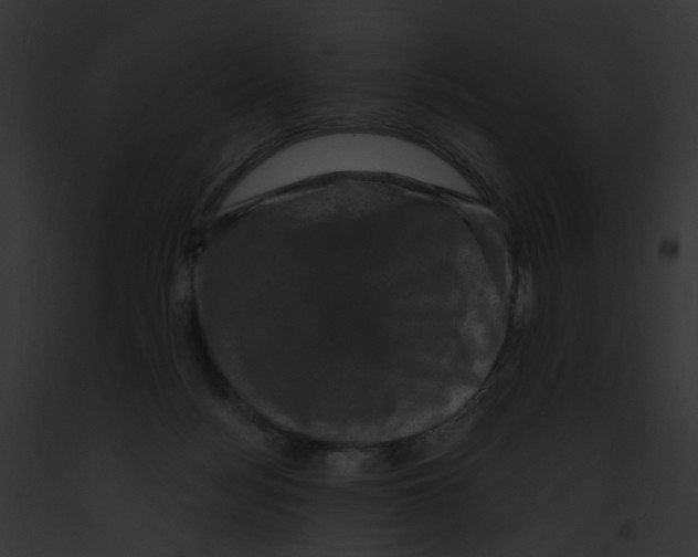 X0000091890172200710031149