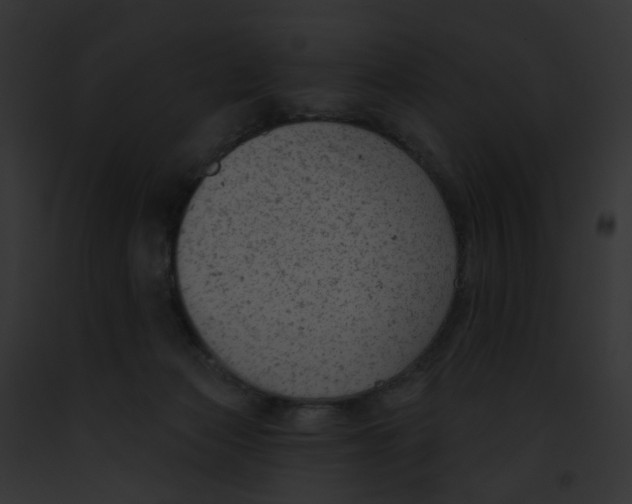 X0000091890173200710031149