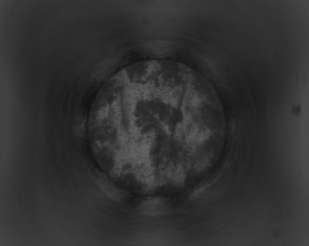 X0000091890177200710031149