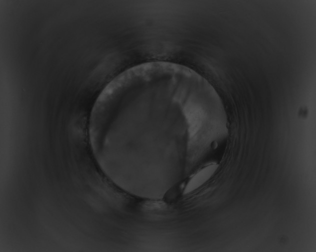 X0000091890181200710031149