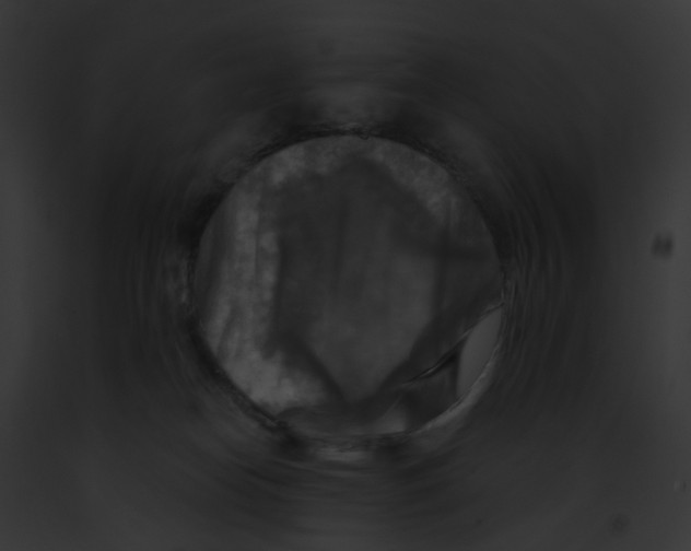 X0000091890182200710031149