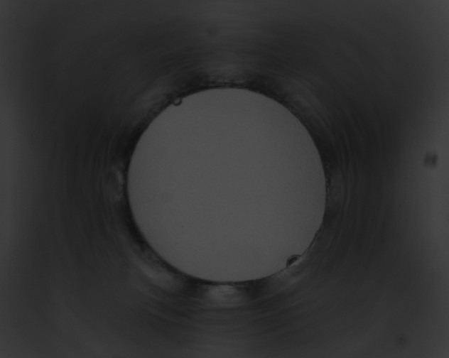 X0000091890183200710031149