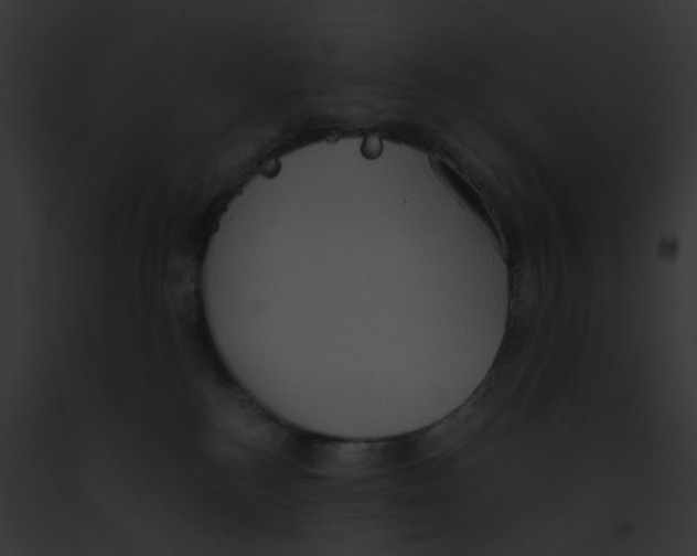 X0000091890184200710031149