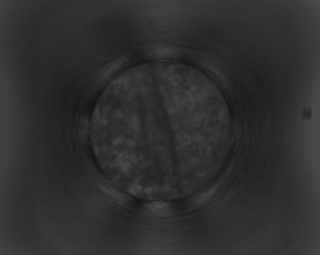 X0000091890189200710031149