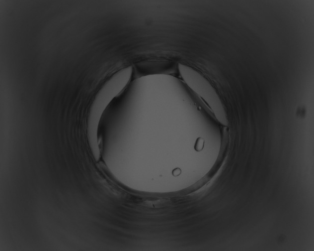 X0000091890190200710031149