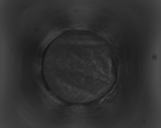 X0000091890194200710031148