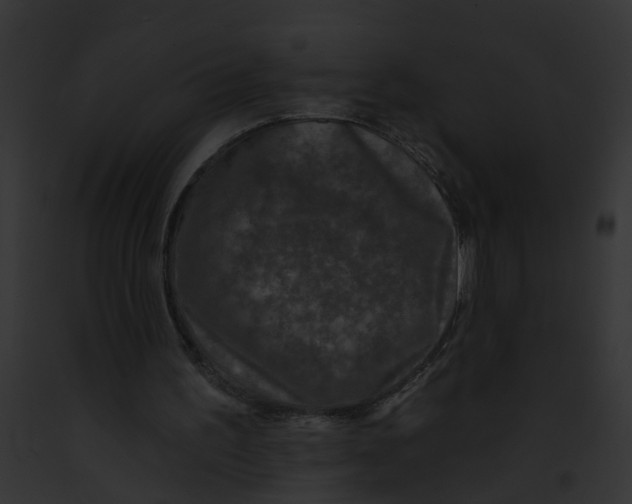 X0000091890195200710031148