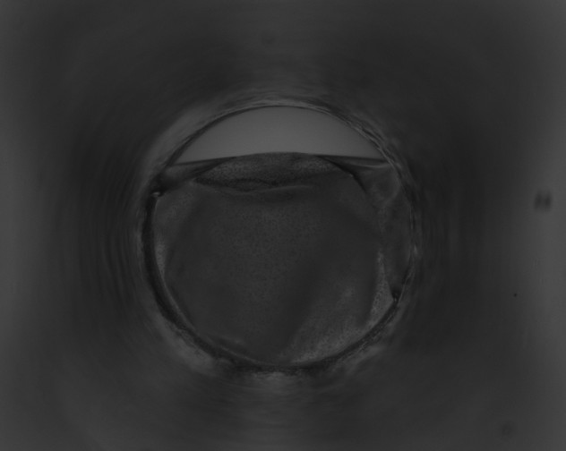 X0000091890197200710031148